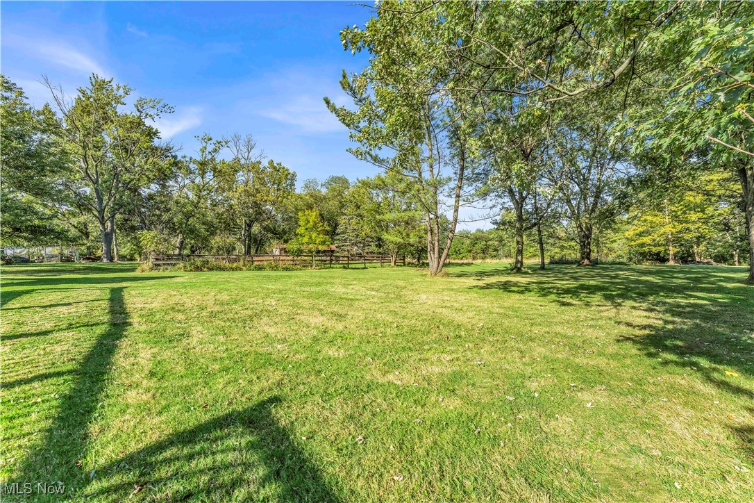 7479 Macedonia Road Bedford, OH 44146 - Photo 17 of 42 View of yard