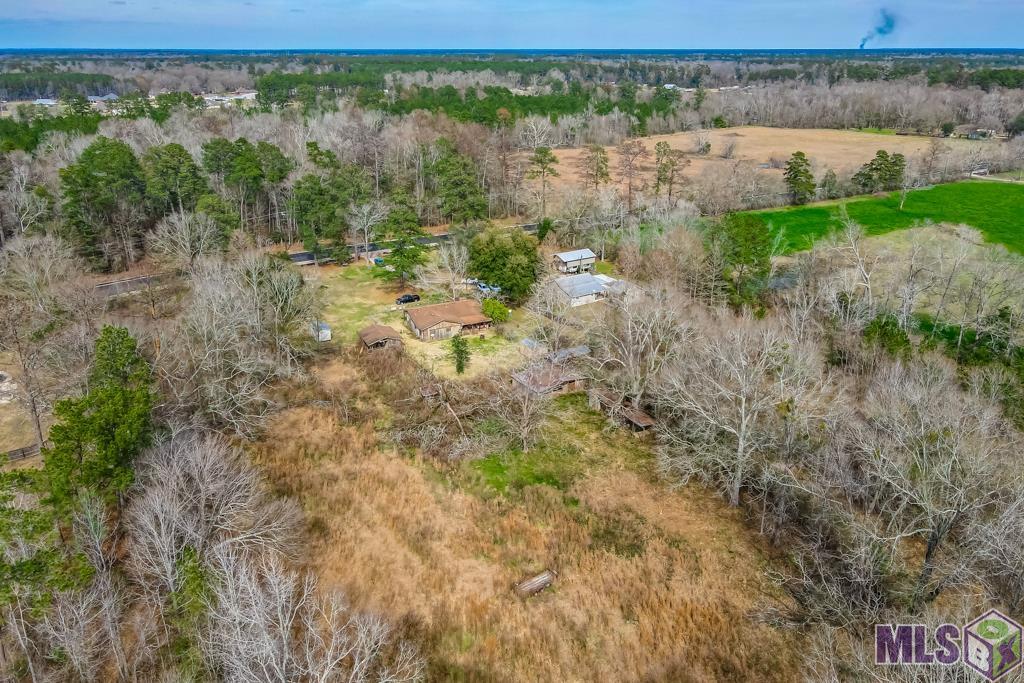 11230 Springfield Road Denham Springs, LA 70706 - Photo 6 of 11