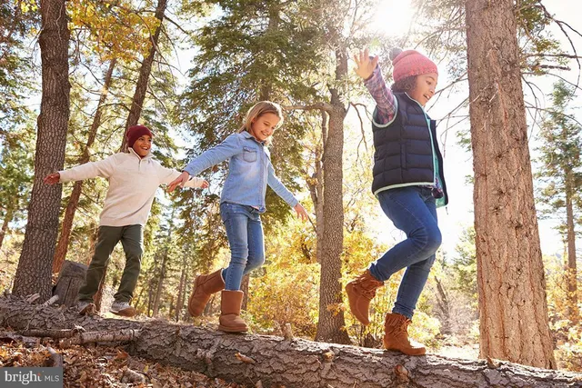 $995,000 | 30 Lakeridge Drive, New Market, MD 21774