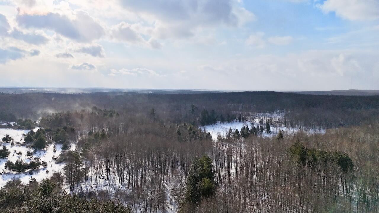 6182 Hamilton Road Harrison, MI 48625 - Photo 1 of 56