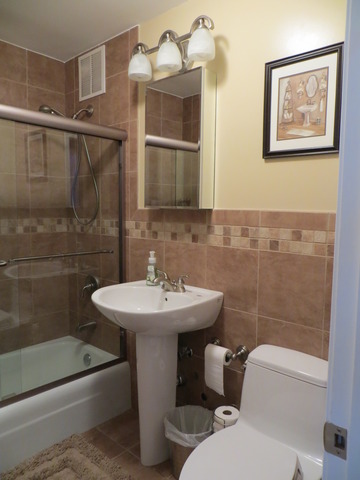 655 West Irving Park Road, Unit 2710 Chicago, IL 60613 - Photo 7 of 11 a bathroom with a sink mirror toilet and bathtub