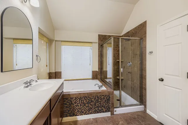 a view of a yard with plants and large trees