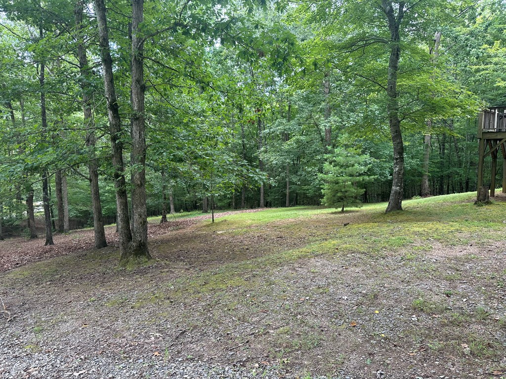 255 Raspberry Lane Murphy, NC 28906 - Photo 11 of 19 Gallery Image 11