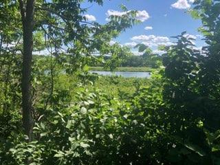 540 Washburn Road Washburn, ME 04786 - Photo 27 of 32 view of Aroostook river