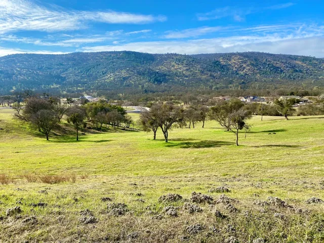 $899,000 | 180 Hawk Ridge, Unit 83, Copperopolis, CA 95228