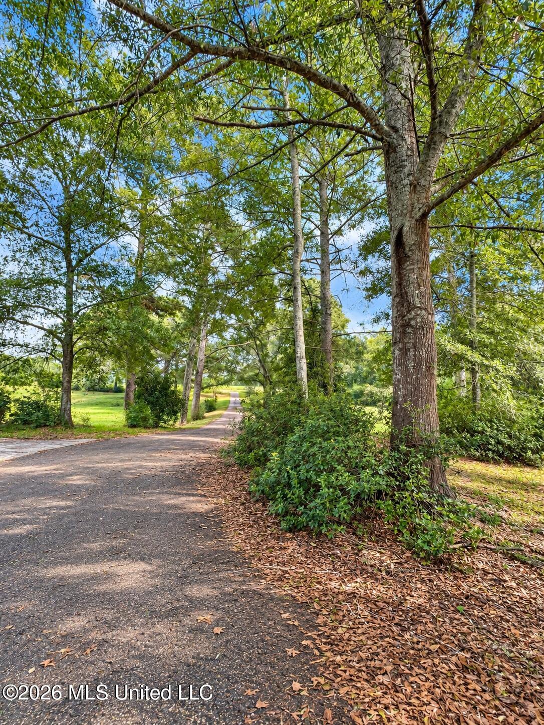 751 Clem Road Prentiss, MS 39474 - Photo 33 of 43 29A6ED79-FAE3-4236-9979-383BC3392E3B