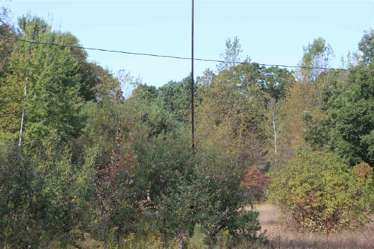 1888 South Chippewa Road Mount Pleasant, MI 48858 - Photo 4 of 6 1838884-3.JPG