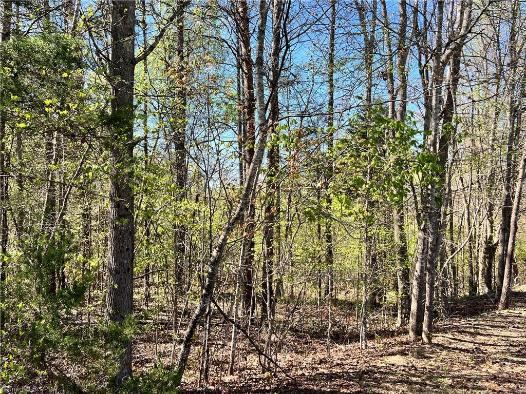 0 Fifth Creek Road Statesville, NC 28625 - Photo 29 of 50