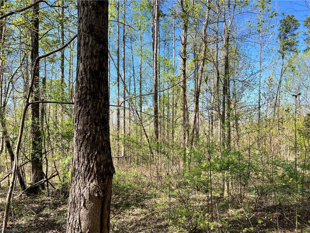 0 Fifth Creek Road Statesville, NC 28625 - Photo 30 of 50