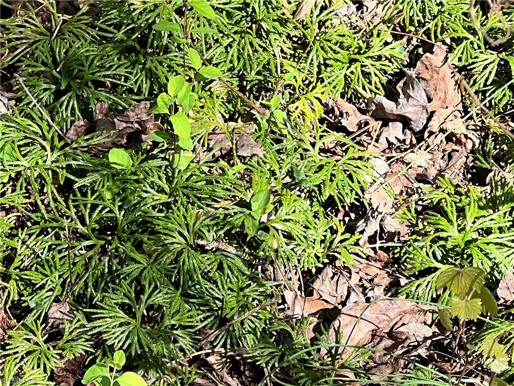 0 Fifth Creek Road Statesville, NC 28625 - Photo 32 of 50