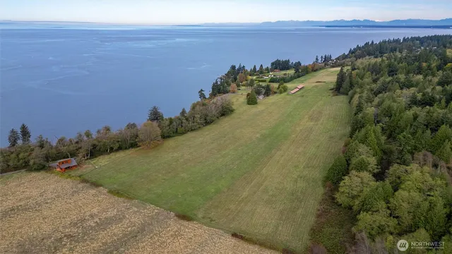 a view of a lake in middle of forest