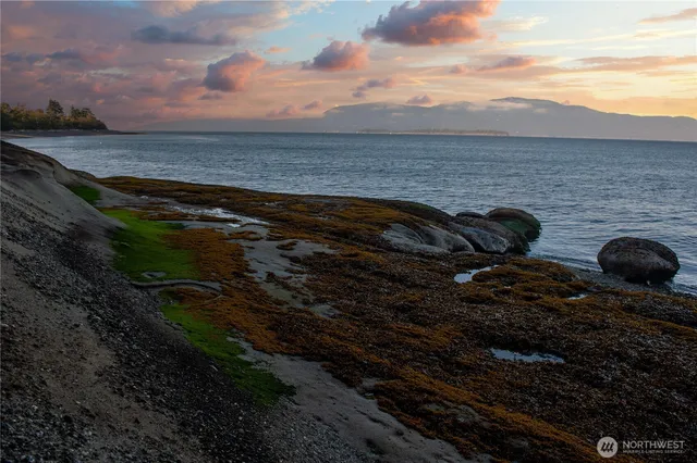 a view of outdoor space