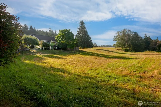 a view of a swimming pool with an ocean and trees in the background