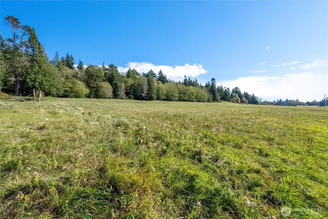 a view of an outdoor space and a yard