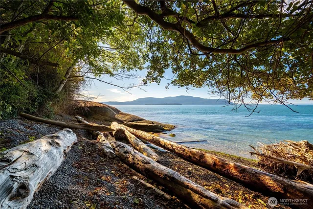 a view of a yard with wooden fence