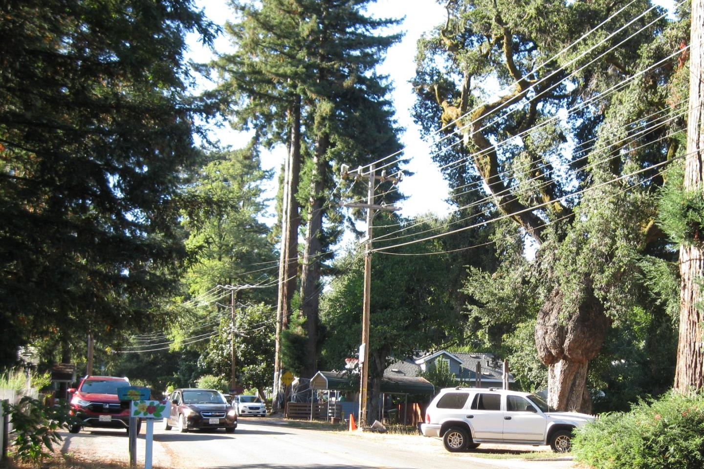 0 Riverside Avenue Ben Lomond, CA 95005 - Photo 7 of 8 a view of outdoor space with lots of trees and shops