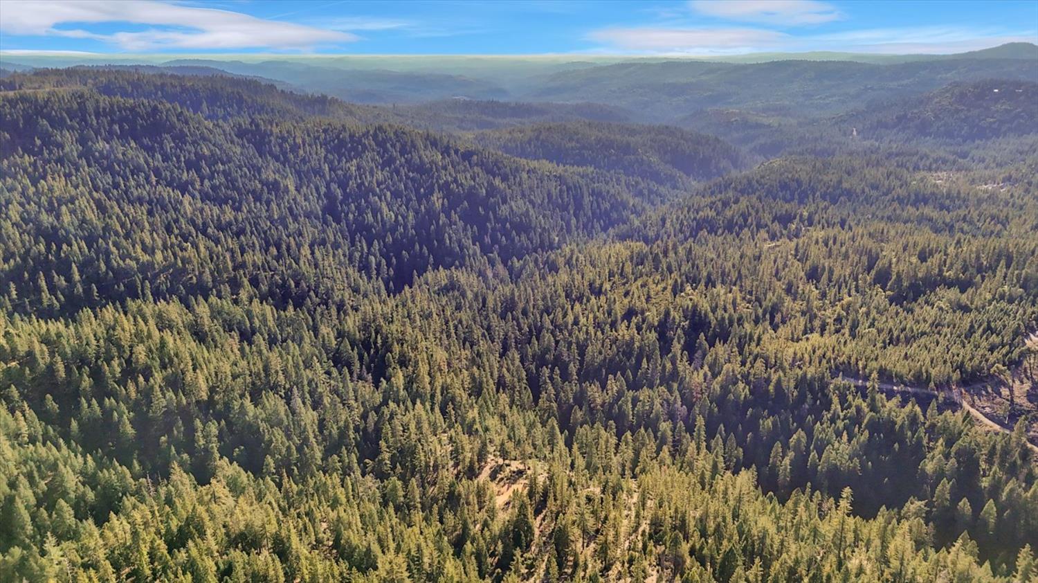 12683 Spider Hill Road Nevada City, CA 95959 - Photo 12 of 37 a view of yard with green space
