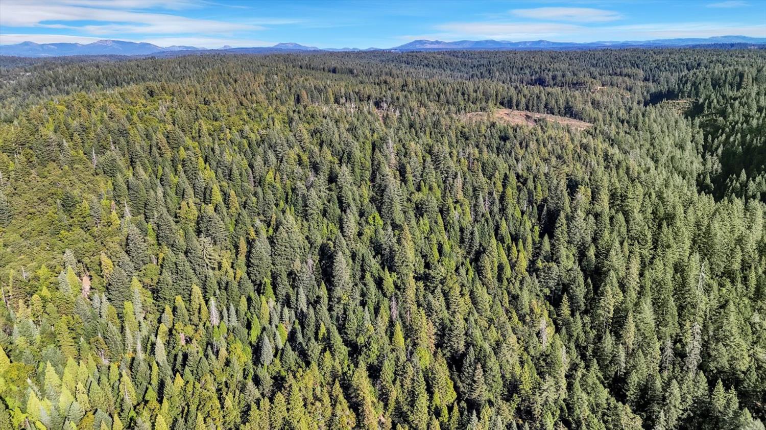 12683 Spider Hill Road Nevada City, CA 95959 - Photo 14 of 37 a view of a city with lush green forest