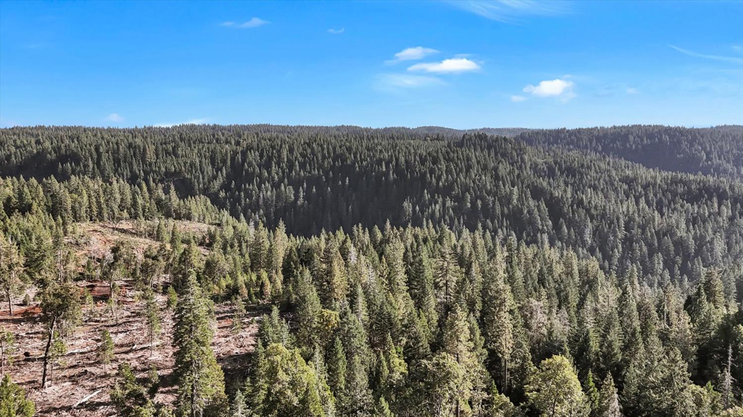 12683 Spider Hill Road Nevada City, CA 95959 - Photo 15 of 37 a view of a street