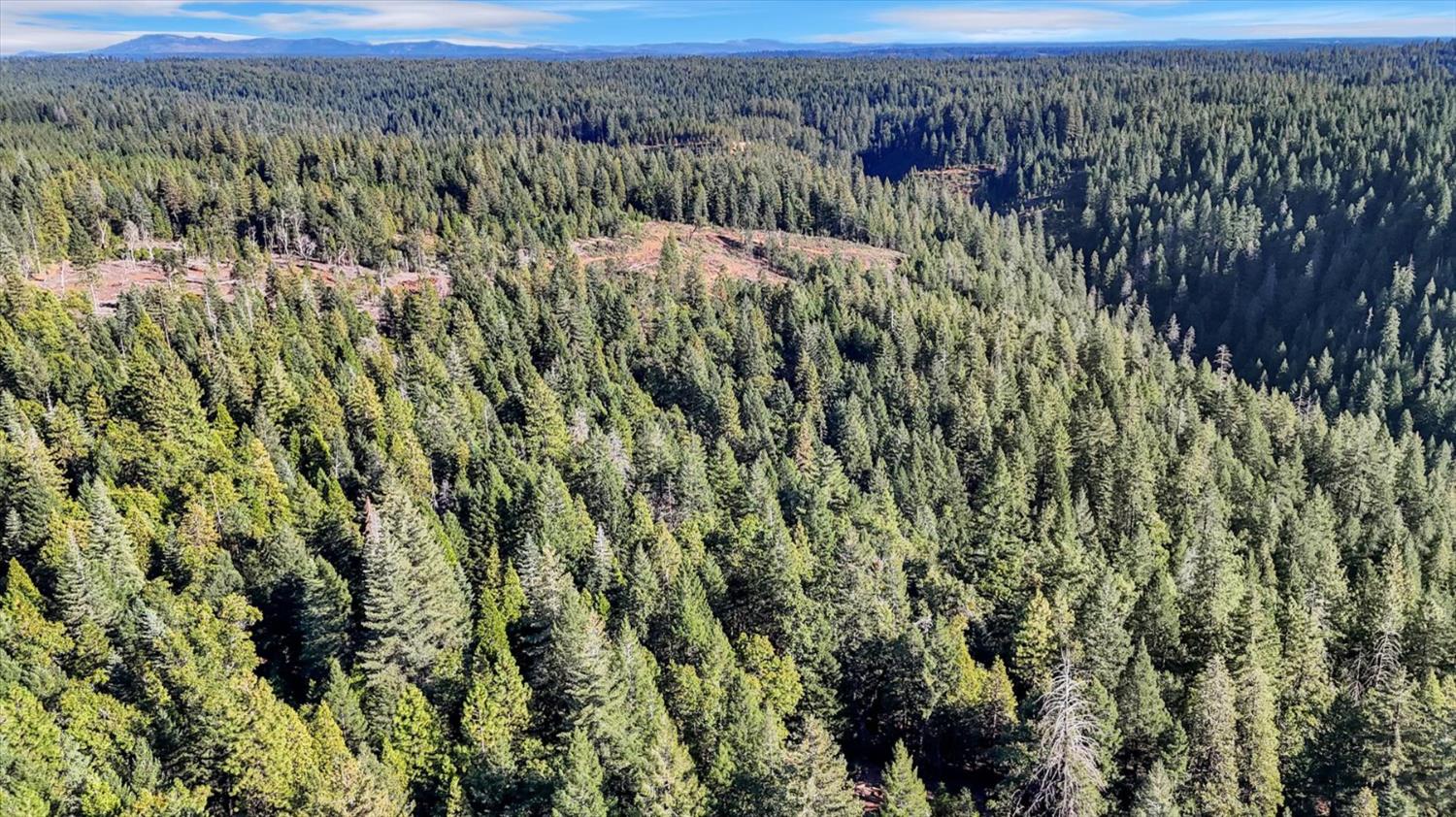 12683 Spider Hill Road Nevada City, CA 95959 - Photo 17 of 37 a view of a green field with lots of bushes