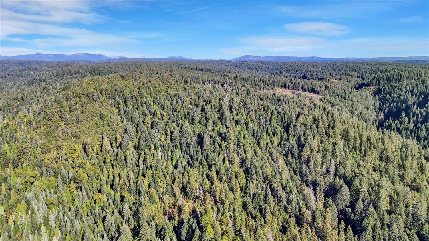 12683 Spider Hill Road Nevada City, CA 95959 - Photo 20 of 37 a view of a city with lush green forest