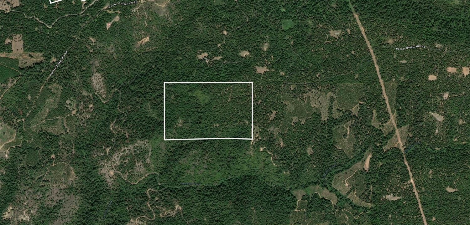 12683 Spider Hill Road Nevada City, CA 95959 - Photo 2 of 37 a view of a backyard