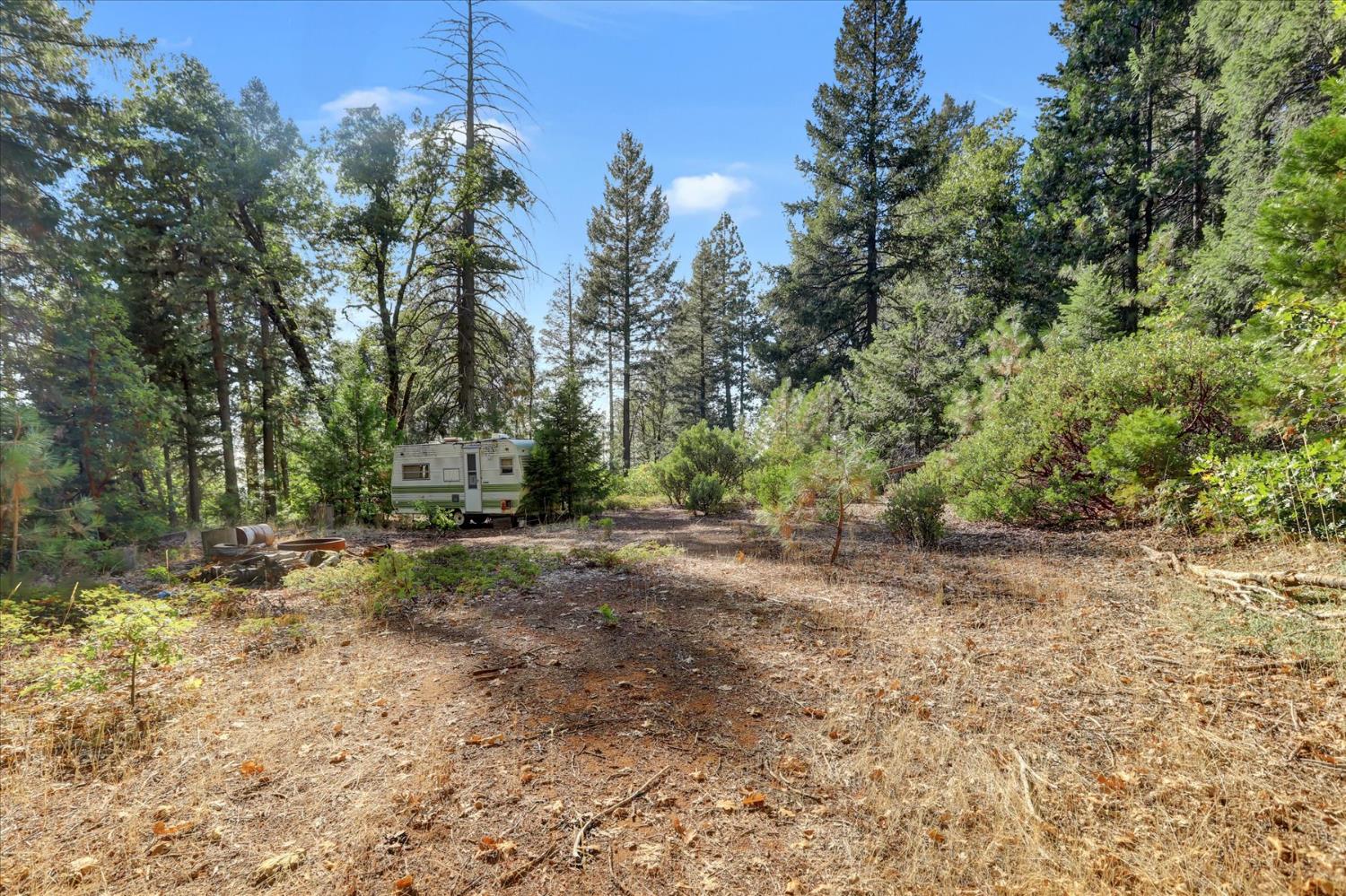 12683 Spider Hill Road Nevada City, CA 95959 - Photo 21 of 37 a view of a forest with trees in the background