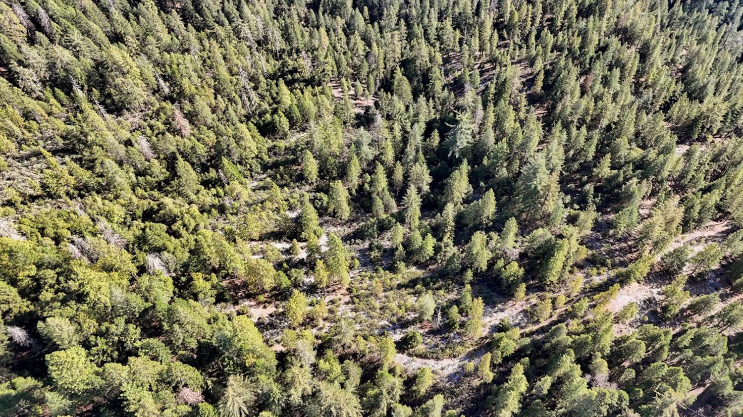 12683 Spider Hill Road Nevada City, CA 95959 - Photo 26 of 37 a view of a field