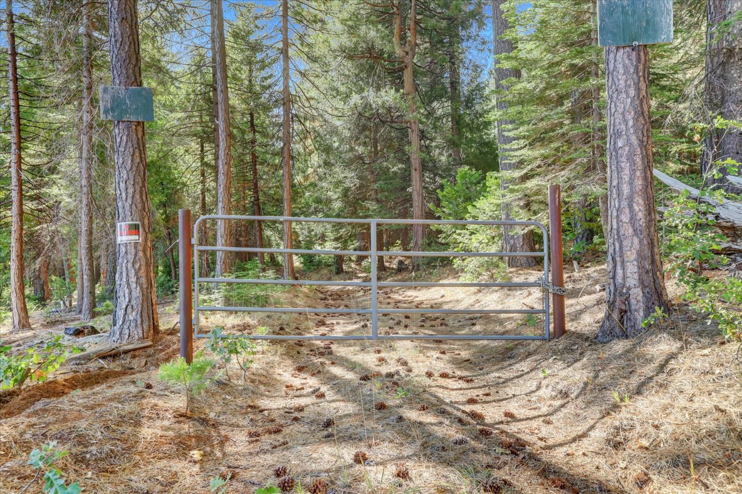 12683 Spider Hill Road Nevada City, CA 95959 - Photo 3 of 37 a view of a backyard
