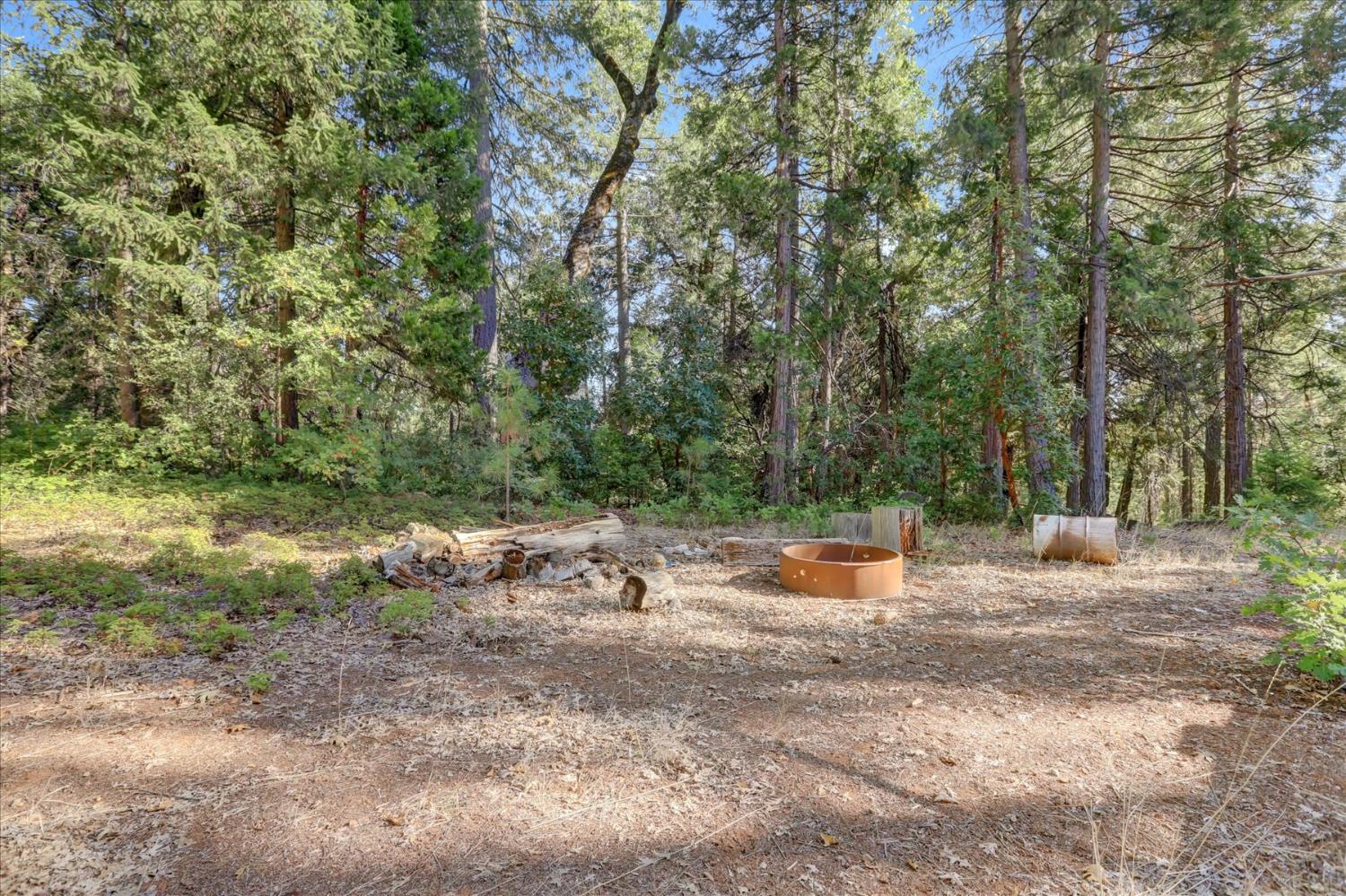 12683 Spider Hill Road Nevada City, CA 95959 - Photo 5 of 37 a view of a yard with a tree