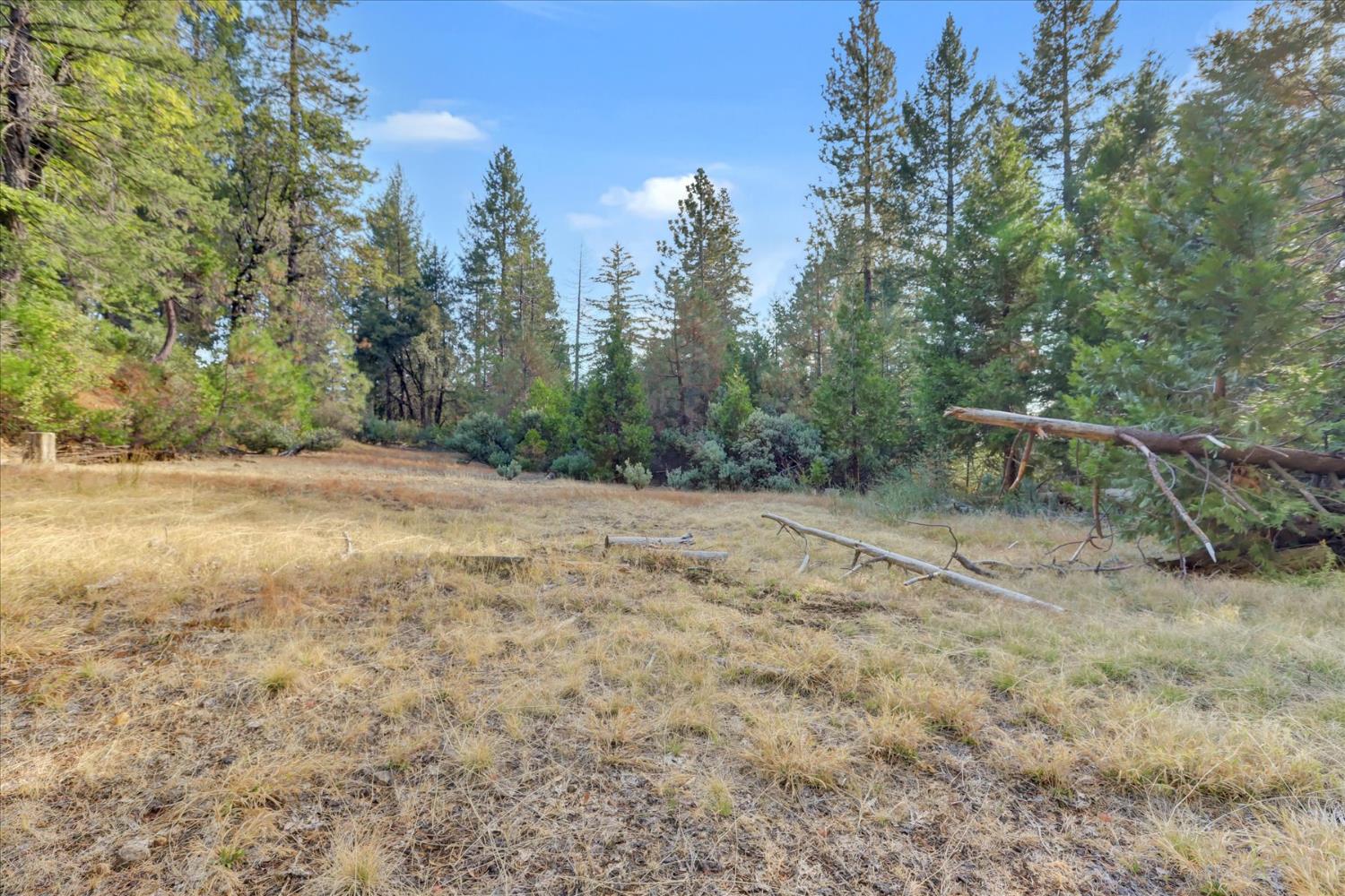 12683 Spider Hill Road Nevada City, CA 95959 - Photo 6 of 37 a view of a yard with trees