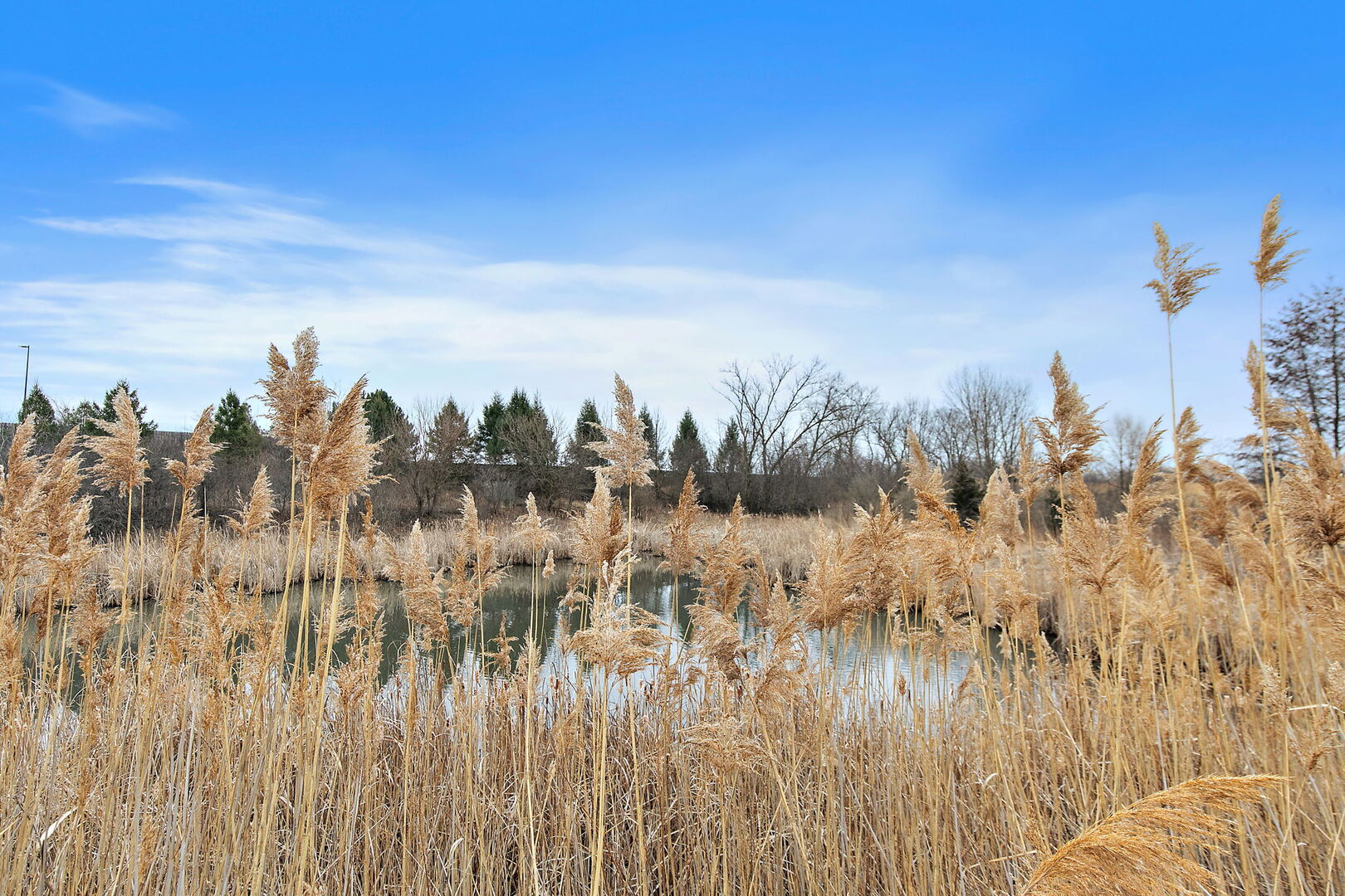 1135 Reserve Drive Elgin, IL 60123 - Photo 23 of 23