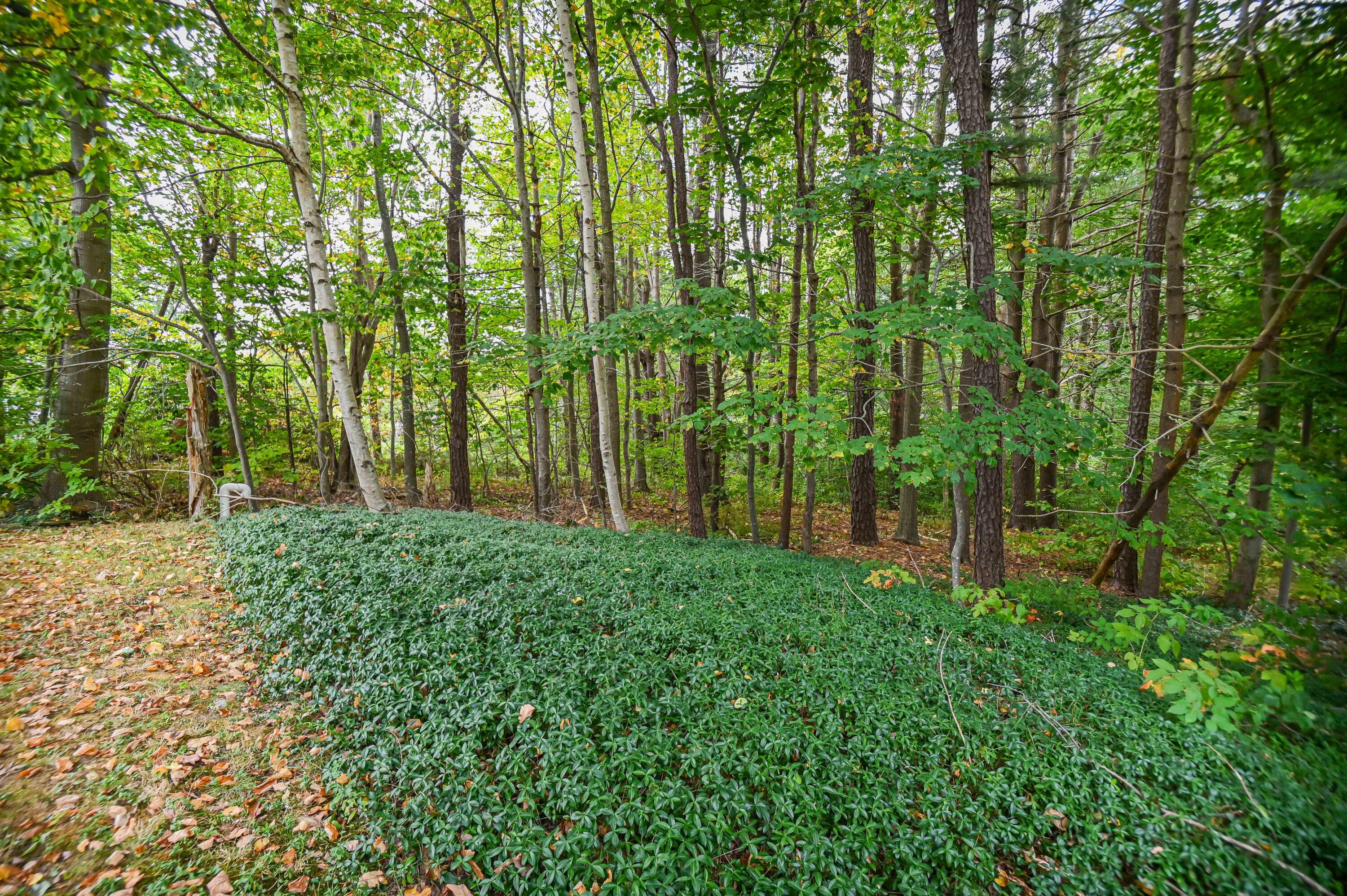 28 Ossipee Road York, ME 03902 - Photo 61 of 66 61