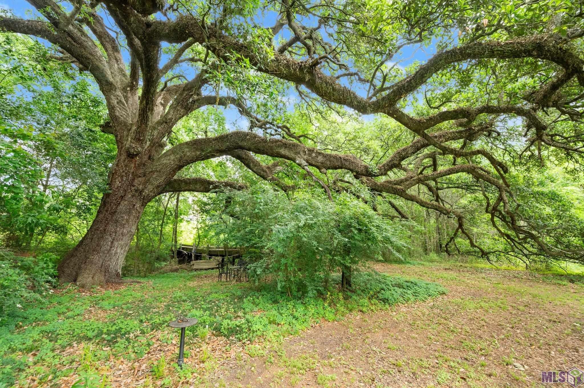 8251 Valencia Court Baton Rouge, LA 70820 - Photo 23 of 28