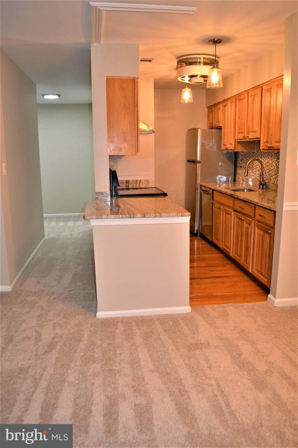 5905 Noblestown Road, Unit 56 Springfield, VA 22152 - Photo 6 of 32 Kitchen / Hallway