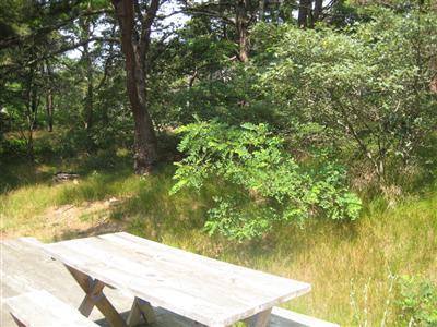 200 Pilgrim Spring Road, Unit B Wellfleet, MA 02667 - Photo 12 of 13 a view of a lake view