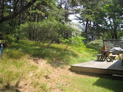 200 Pilgrim Spring Road, Unit B Wellfleet, MA 02667 - Photo 3 of 13 a view of a yard with a tree