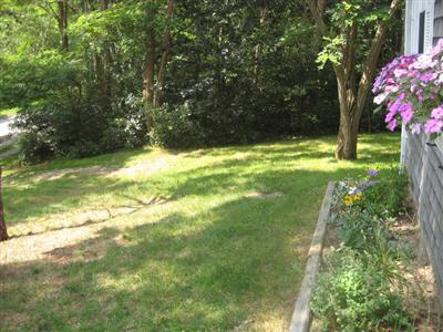 200 Pilgrim Spring Road, Unit B Wellfleet, MA 02667 - Photo 10 of 13 a yard with yellow house