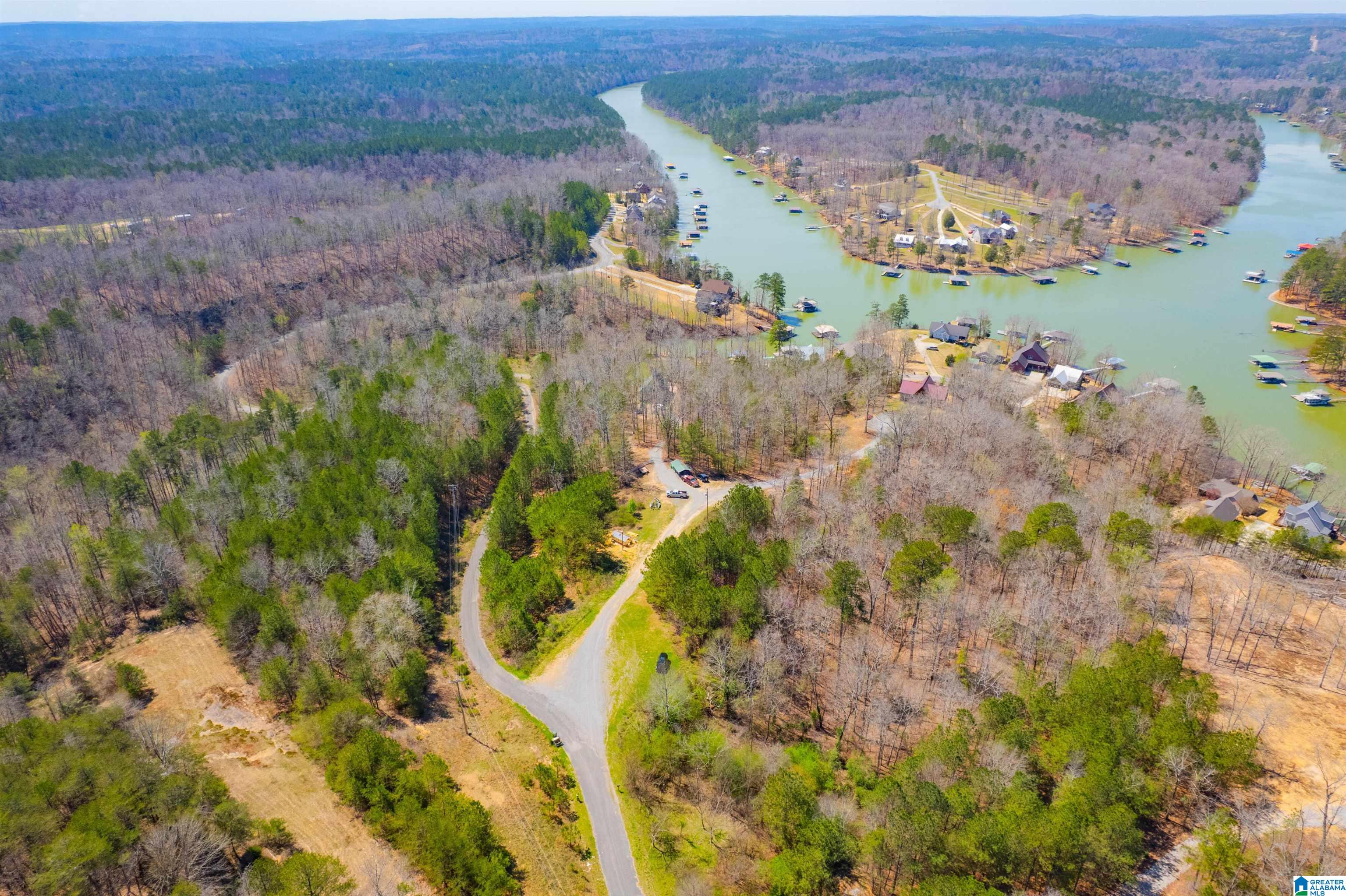 0 Lakeview Lane Houston, AL 35572 - Photo 4 of 15