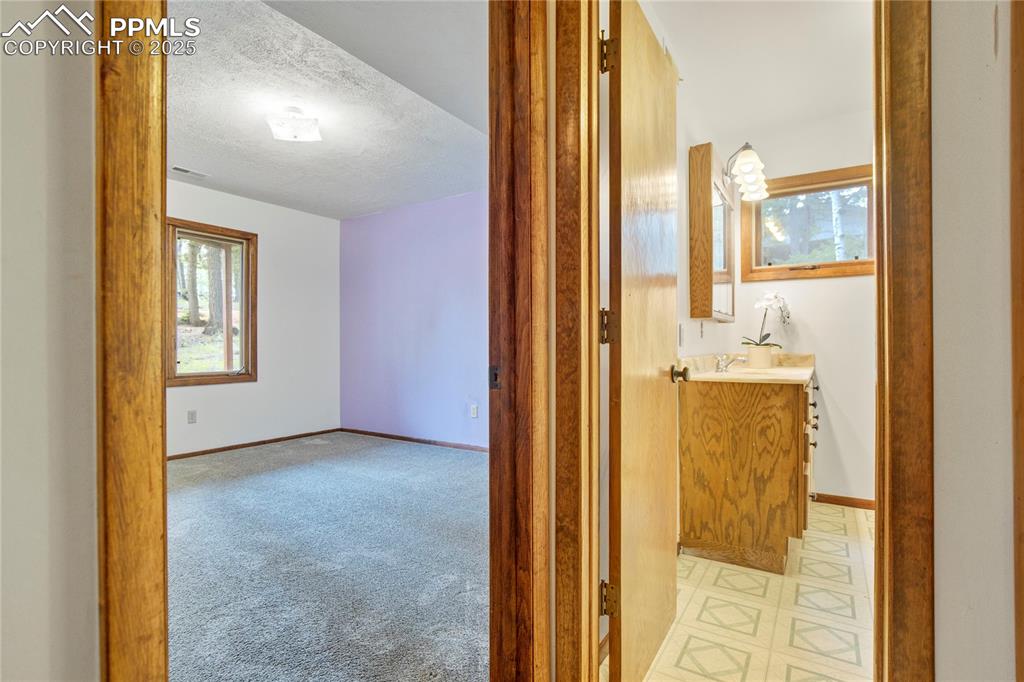 57 Aspen Circle Divide, CO 80814 - Photo 30 of 50