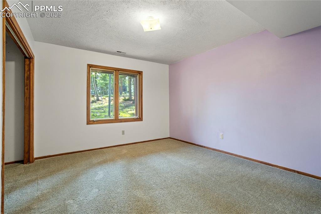 57 Aspen Circle Divide, CO 80814 - Photo 31 of 50 an empty room with a window