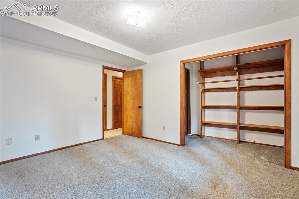 57 Aspen Circle Divide, CO 80814 - Photo 33 of 50 an empty room with a closet