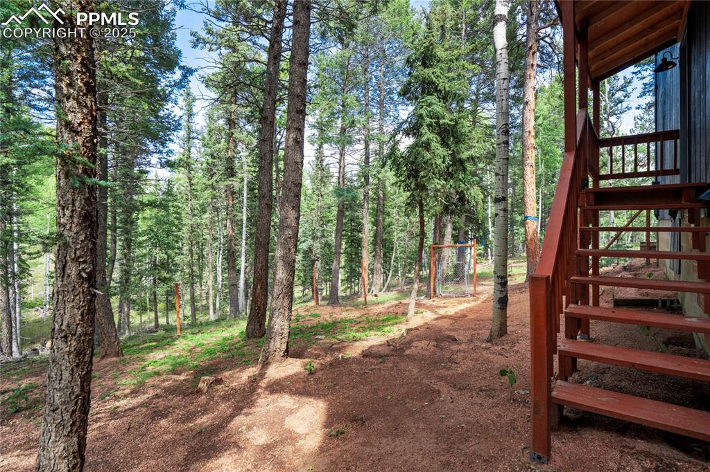 57 Aspen Circle Divide, CO 80814 - Photo 37 of 50 a view of outdoor space and yard