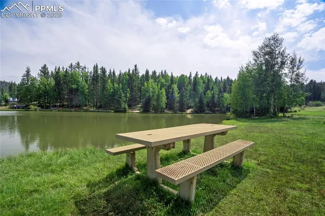a view of a water pond with green space