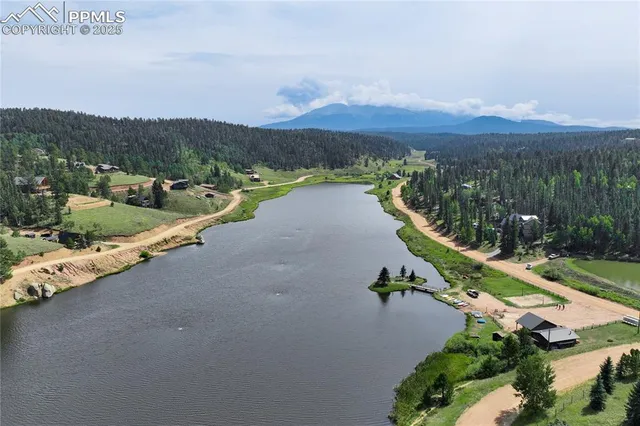 a view of a lush green forest with two houses in the back