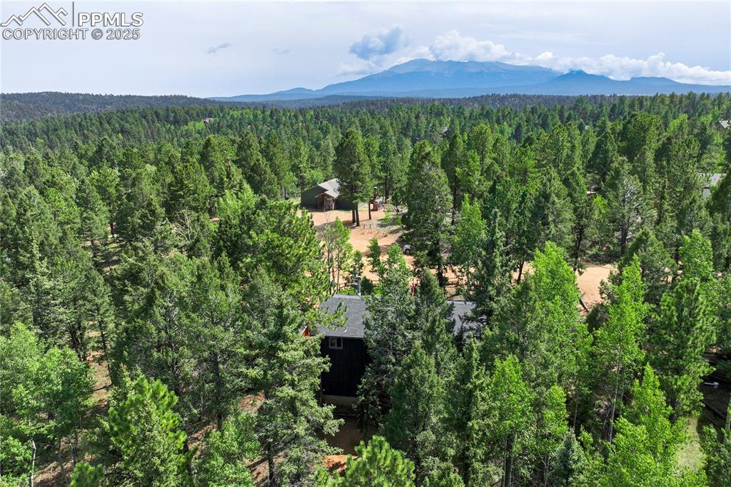 57 Aspen Circle Divide, CO 80814 - Photo 47 of 50 a view of a lush green forest with two houses in the back