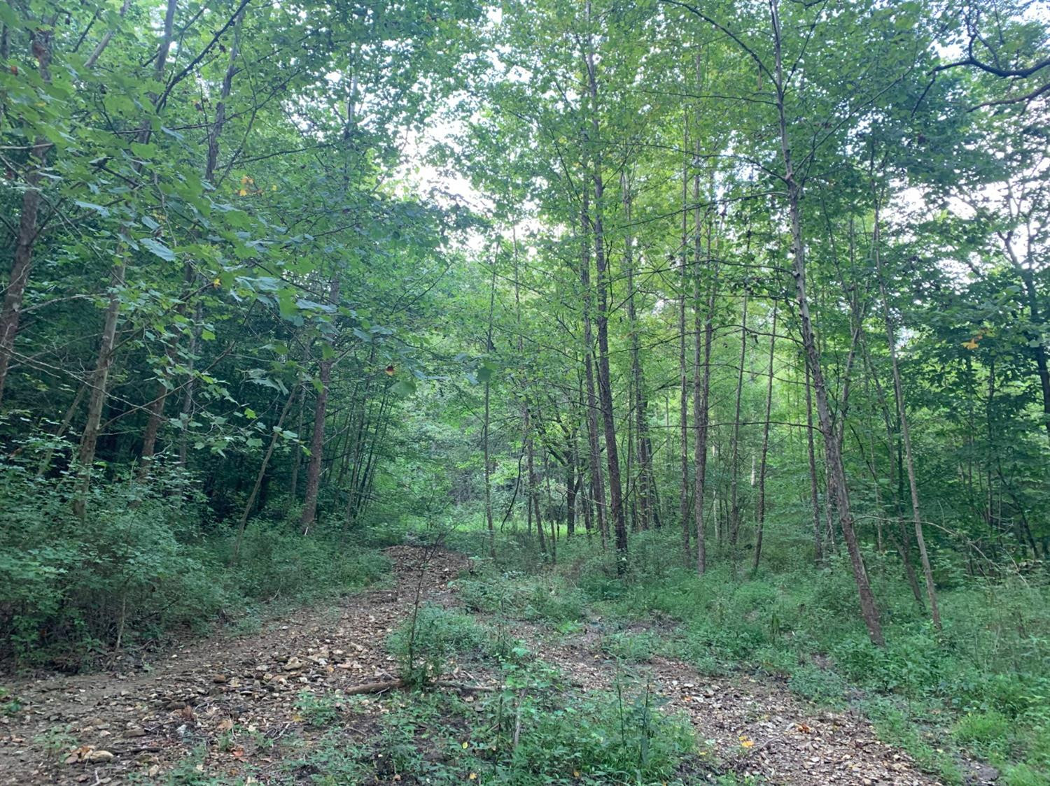 0 Upper Cane Creek Road Stanton, KY 40380 - Photo 16 of 34 Photo 17