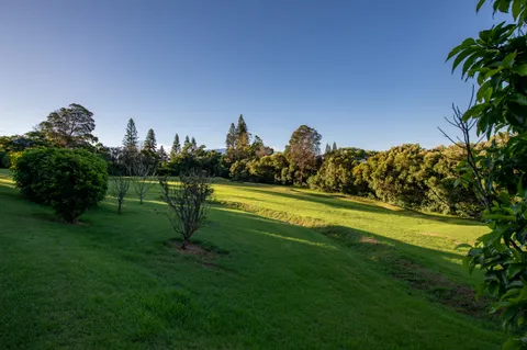 a view of a golf course with a garden