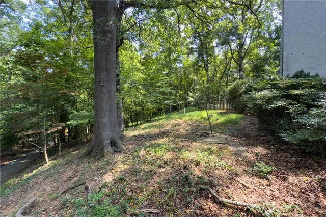 a view of outdoor space and yard
