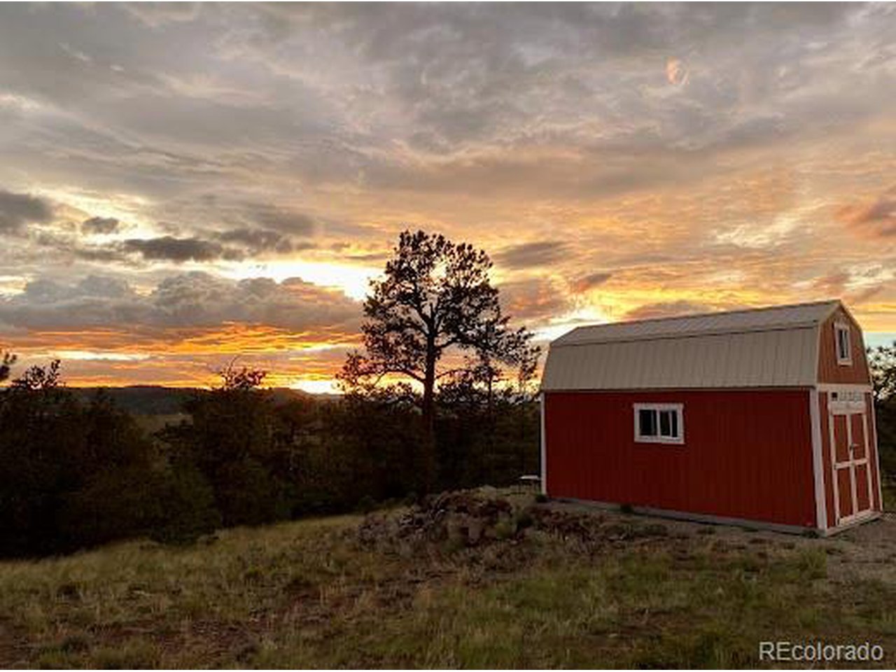 25 Wolfe Road Hartsel, CO 80449 - Photo 1 of 16 a view of a yard in front of a house